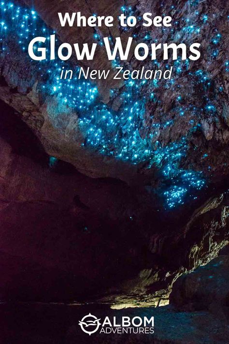 Uncover the magical glow of glow worms in New Zealand's stunning landscapes. Explore top destinations for an unforgettable bioluminescent adventure! Waitomo Glowworm Caves, Glowworm Caves, Glow Worms, Waitomo Caves, Glow Worm Cave, Trip To New Zealand, Cave Photos, New Zealand Itinerary, Nature Tourism