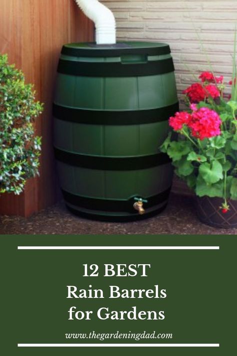 Brick Patterns Patio, Rain Barrels, Rain Chain, Beautiful Yards, Rainwater Harvesting, Water Collection, Rain Barrel, Rain Water Collection, Brick Patterns