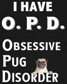 Pug Quotes, Pug Dogs, Pug Mug, Pugs And Kisses, Baby Pugs, Pug Pictures, Pug Art, Pug Mom, Pug Puppies