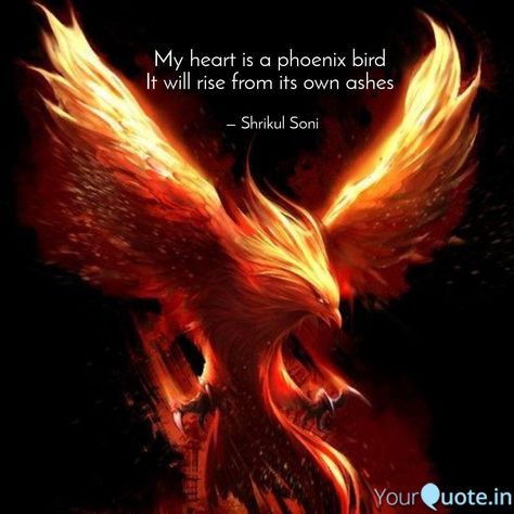 Phoenix Quotes Short, Phoenix Bird Quotes, Phoenix Aesthetic Bird, Pheonix Aestethic Wallpaper, Pheonix Quotes Inspirational, Dope Captions, Phoenix Quotes, Phinex Fire Bird Wallpaper, Phoenix Bird Art