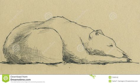 Bear Sleeping Drawing, Grizzly Bear Drawing, Bear Sleeping, Hug Illustration, Sleeping Drawing, Bear Sketch, Bear Artwork, Sepia Color, Tree Drawings Pencil