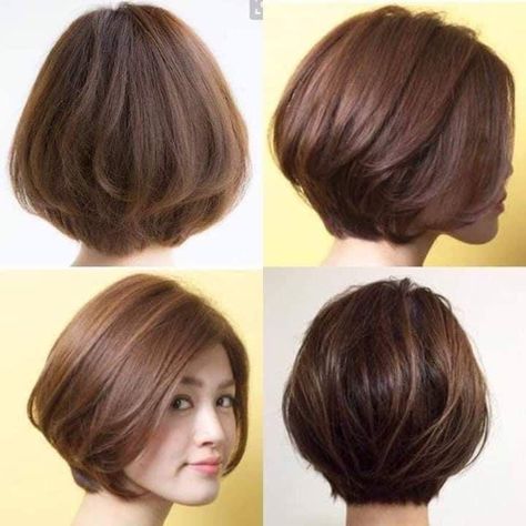 Short Chin Length Hair Asian, Long Pixie Bob Haircut For Fine Hair, Makarizo Hair Energy, Short Stacked Hair, Stacked Hair, Thick Hair Cuts, Amazing Hairstyles, Hair Inspiration Long, Hairstyles For Girls