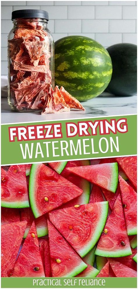 Try freeze drying watermelon to create a candy-like snack with concentrated flavor. Perfect for kids and adults, this crunchy, sweet treat is easy to make with your freeze-dryer and a great way to preserve summer's bounty. Find more freeze dry food recipes, watermelon recipes, preserving watermelon, and Homesteading Skills at practicalselfreliance.com. Freeze Dried Watermelon, Preserving Watermelon, Preserve Watermelon, Freezing Watermelon, Freeze Dry Food, Canning Fruit Recipes, Preppers Food Storage, Dried Watermelon, Freeze Dried Food Storage