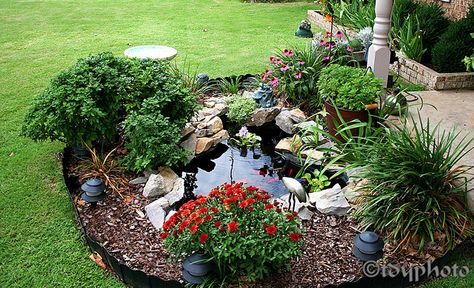 Goldfish Back Yard Water Ponds | goldfish-pond | Flickr - Photo Sharing! Ponds For Small Gardens, Kolam Air, Backyard Ponds, Taman Air, Goldfish Pond, Garden Pond Design, Outdoor Ponds, Fountains Backyard, Pond Ideas