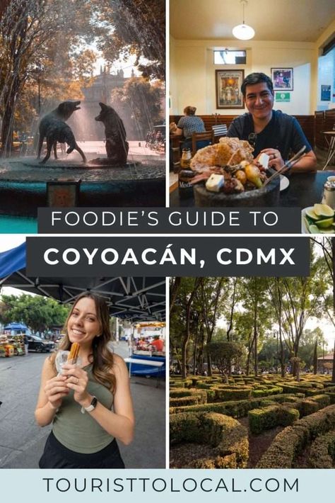 Discover the best Coyoacán restaurants in Mexico City, from street food markets to upscale dining. Explore where to eat and what dishes to try! Coyoacan Mexico City, Mexican Coffee, Street Food Market, Mexican Snacks, Spicy Salsa, Yucatan Peninsula, Mexican Decor, Beach Getaways, Food Market