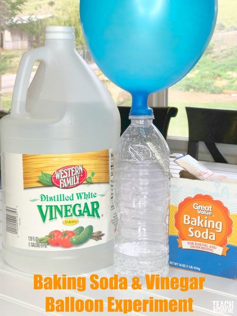 Baking soda and vinegar balloon experiment Baking Soda Experiments, Balloon Science Experiments, Vetenskapliga Experiment, Balloon Experiment, Baking Soda And Vinegar, Science Experiments For Preschoolers, Baking Soda Vinegar, Kid Experiments, Easy Science Experiments