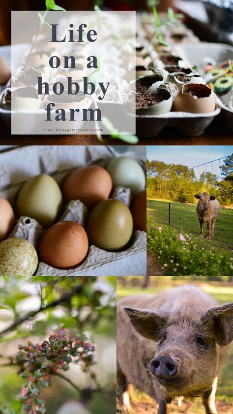 Have you ever wonder what life on hobby farm is like? Let me take you on a tour around our farm and garden plans for this year. Hobby Farm Layout, Hobby Farms Layout, Farm And Garden, Homesteading Diy, Farm Layout, Hobby Farm, Farm Tour, Garden Plans, Hobby Farms