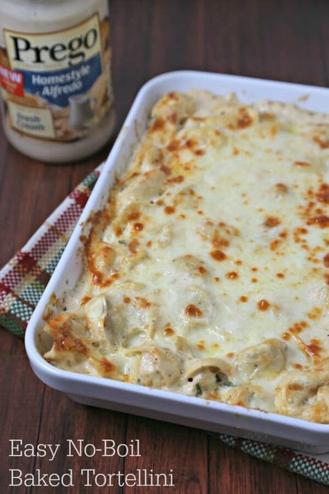 Baked Cheese Tortellini, Cheesy Alfredo Sauce, Baked Tortellini Alfredo, Baked Tortellini Recipes, Baked Tortellini Casserole, Cheese Tortellini Recipes, Baked Tortellini, Tortellini Alfredo, Smoked Mozzarella