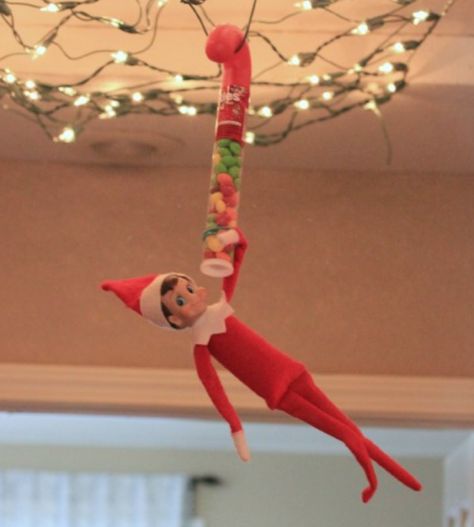 Grab one of those candy cane tubes filled with candy at the store and have your elf hang from it somewhere around the house. It can even be the Christmas tree! Easy and fun! Toddler Homeschool, Chandelier Ideas, Elf On A Shelf Ideas, Elf Fun, The Elf On The Shelf, Elf On Shelf, Elf Ideas, Girls Rooms, Elf On A Shelf