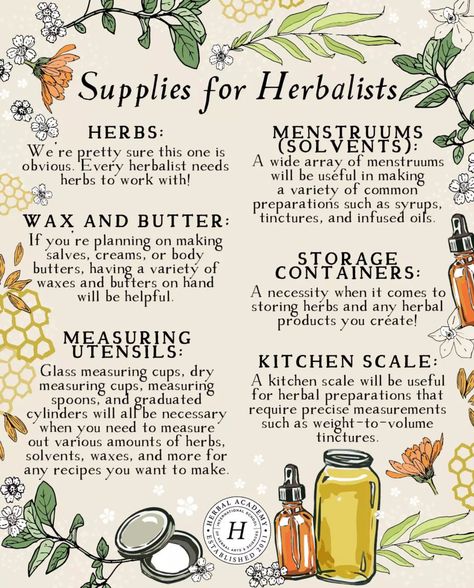 Beginner Herbalist, Herbalism For Beginners, Foraging Bag, Herbal Education, Herbal Medicine Recipes, Herbal Remedies Recipes, Medicinal Herbs Garden, Medical Herbs, Magic Herbs