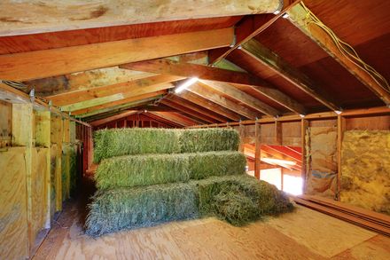 Prefab Barns, Horse Nutrition, Hay Storage, Horse Hay, Diy Horse Barn, Hay Loft, Equine Care, Barn Siding, Horse Fencing