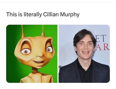 Cillian Murphy Silly, Cillian Murphy Funny Face, Robert Oppenheimer, Disappointed Cillian Murphy Memeable, Cillian Murphy Disappointed Face, Cillian Murphy Oppenheimer Meme, Movie Memes, Cillian Murphy, Funny Bunnies