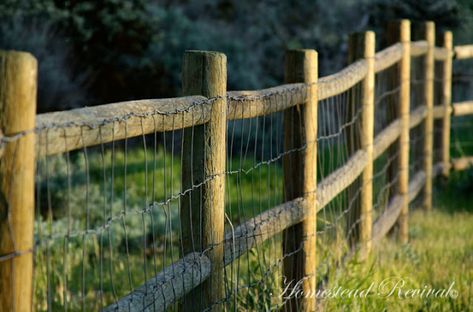 Goat Corral, Coyote Fence, Goat Fencing, Sheep Fence, Goat Fence, Perimeter Fence, Chicken Fence, Goat Pen, Field Fence