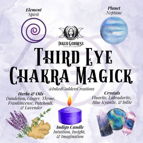 Charka Meaning, Chakra Spell Jar, Therapy Binder, Chakra For Beginners, Chakra Flow, The Third Eye Chakra, Yoga Spirituality, Chakras Yoga, Chakra Chart