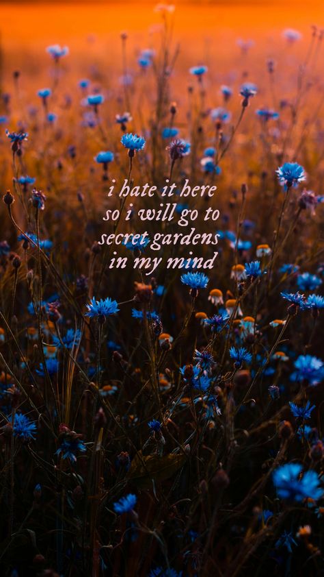 Tortured Poets Wallpaper, All To Well Lyrics Taylor Swift, Taylor Aestethic, Taylor Swift Lockscreen Lyrics Ttpd, I Remember It All Too Well, I Hate It Here Taylor Swift Lyrics, Taylor Swift Lyric Background, Taylor Swift Nothing New, I Hate It Here Taylor Swift