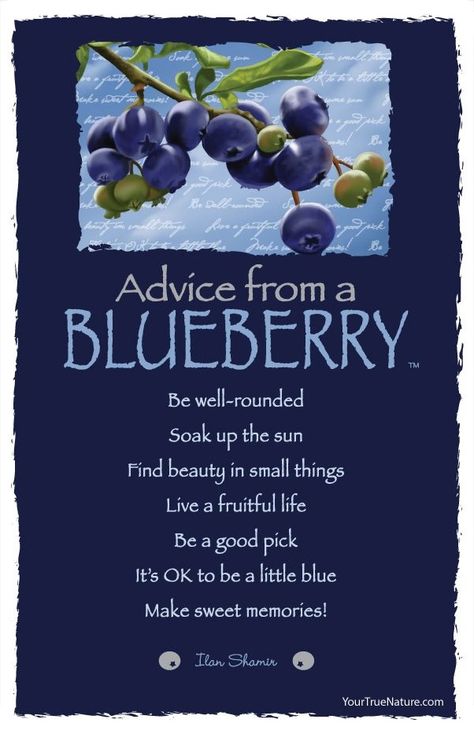 Blueberry Quotes, Blueberry Picking, Blueberry Farm, Soak Up The Sun, Advice Quotes, True Nature, Art Card, Nature Quotes, Sweet Memories