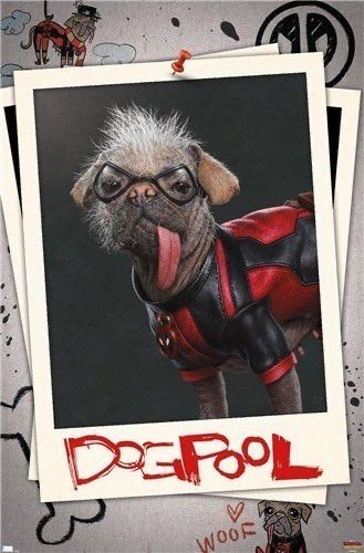 Deadpool Dogpool Wallpaper, Deadpool And Dogpool, Dog Pool Deadpool, Marvel Dogpool, Deadpool Dogpool, Deadpool Dog, Hunter Spider, Superman Legacy, Poster Marvel