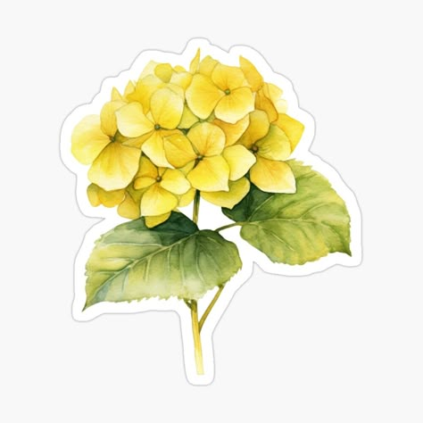 Get my art printed on awesome products. Support me at Redbubble #RBandME: https://www.redbubble.com/i/sticker/Yellow-Hydrangea-Summer-Flower-by-My-Magic-World/148990525.EJUG5?asc=u Yellow Stickers, Coral Peony, Yellow Hydrangea, Oliver Tree, Simple Dimple, Coral Peonies, Wallpaper Notebook, Sticker Design Inspiration, Coral Watercolor