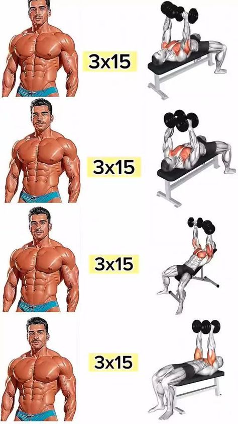 Dumbbell Chest Workout At Home, Tricep Workout Gym, Gym Chest Workout, Dumbbell Chest Workout, Chest And Tricep Workout, Workout Chest, Chest Workout At Home, Chest Workout For Men, Chest Workout Routine