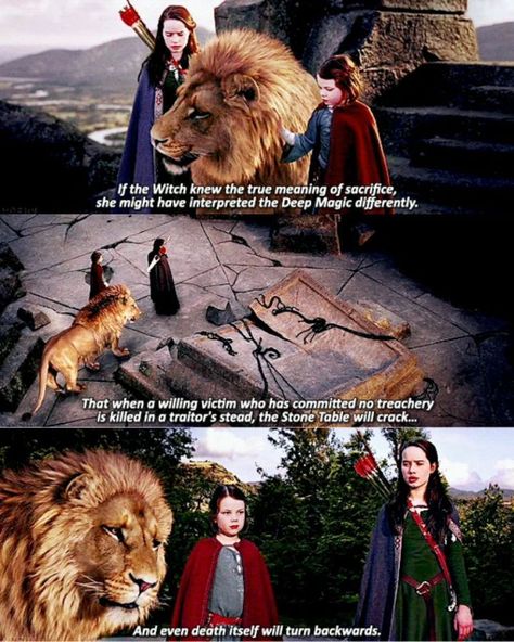 Lucy And Aslan, Lucy Movie, Narnia Quotes, Narnia Movies, Susan Pevensie, Lucy Pevensie, Steve Burton, The Chronicles Of Narnia, Vampire Academy