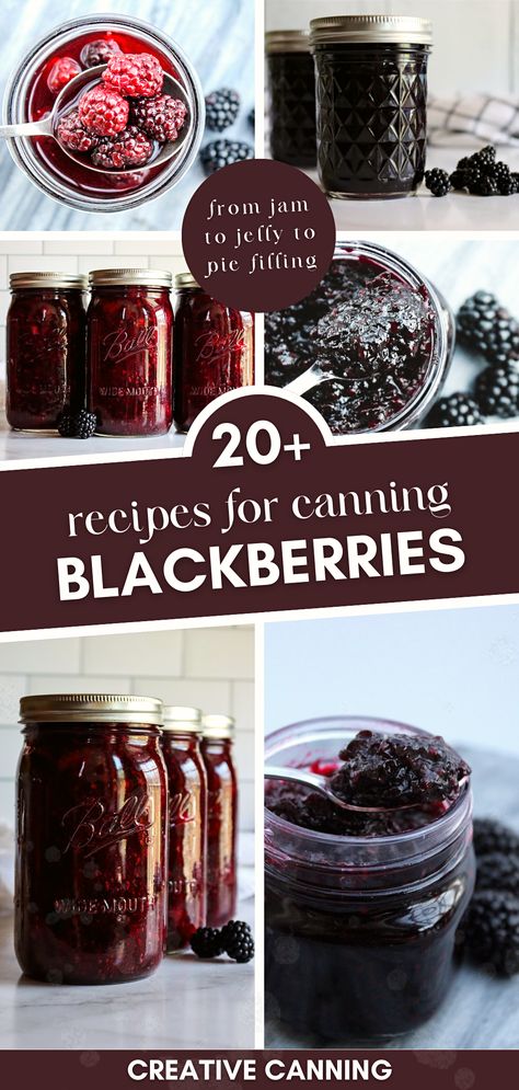 Dive into the ultimate collection of recipes for canning blackberries. Whether you're a seasoned canner or just starting out, this assortment offers a treasure trove of blackberry goodness. Capture the essence of blackberries and enjoy them throughout the year. This collection is your go-to resource for preserving blackberries in the most delicious ways possible. Blackberry Preserves Recipe Canning, Blackberry Canning Recipes, Preserving Blackberries, Blackberry Preserves Recipe, Canning Blackberry Jam, Blackberry Jelly Recipe, Canning Blackberries, Canning Fruit Recipes, Blackberry Jam Recipe