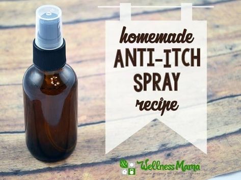 Homemade Anti-Itch Spray with Menthol & Aloe http://herbsandoilshub.com/homemade-anti-itch-spray-with-menthol-aloe/ This is an anti-itch spray that can also be used for dry, itchy skin during the colder months. Homemade Bug Spray Recipe, Homemade Bug Spray, Bug Spray Recipe, Calamine Lotion, Menthol Crystals, Wellness Mama, Anti Itch Cream, Anti Itch, Homemade Remedies