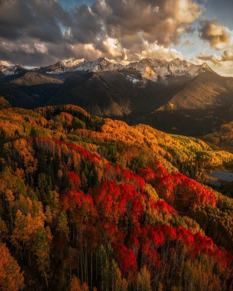 Beauty in all things... Colorado In Fall, Fall Locations, Colorado In The Fall, Autumn Tale, Colorado Fall, Scenery Pictures, We Fall In Love, Autumn Aesthetic, Autumn Trees