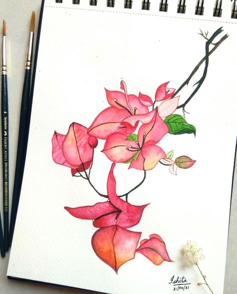 Easy Watercolor Painting, Watercolour Flower, Fabric Painting Techniques, Watercolor Paintings Easy, Easy Watercolor, Bougainvillea, Art Journals, Botanical Illustration, Fabric Painting