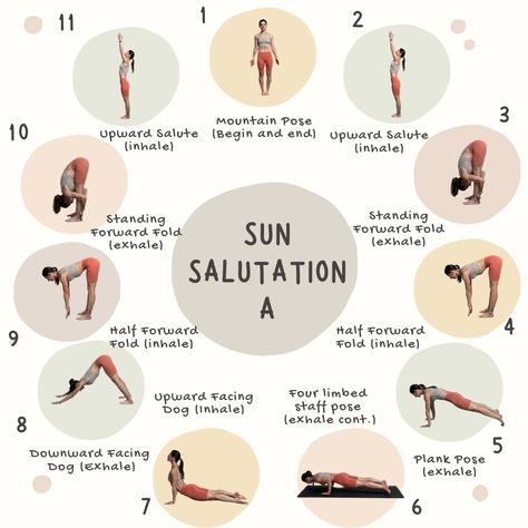 Sun Salutation A Sequence, Sun A Variations, Sun Salutation B, Sun Salutation Sequence, Sun Salutation A, Yoga Sun Salutation, Yoga Routines, Yoga Facts, Dynamic Warm Up