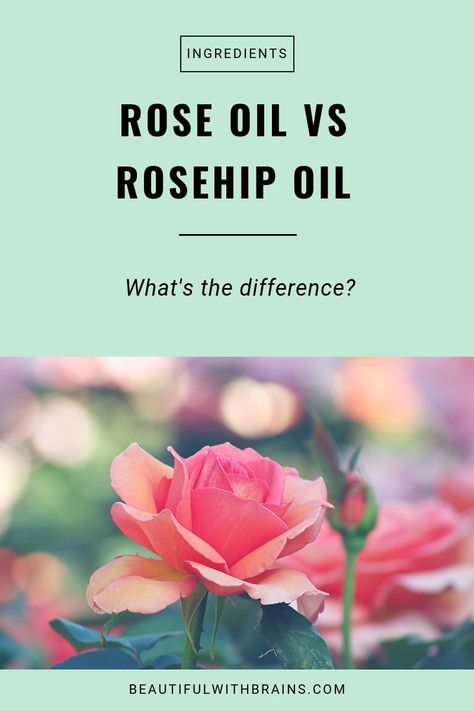 Rose Oil Diy, Rose Oil Benefits, Rose Oil For Skin, Rosehip Oil Benefits, Asian Skin, Essential Oil Benefits, Rosehip Seed Oil, Korean Skin, Rose Essential Oil