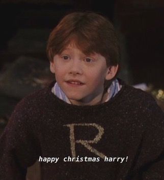 hatefuls Hogwarts Christmas, Hogwarts Alumni, Harry Potter Icons, Rupert Grint, 1 Y 2, Cosy Christmas, Harry Potter Film, Demi Moore, Harry Potter Aesthetic