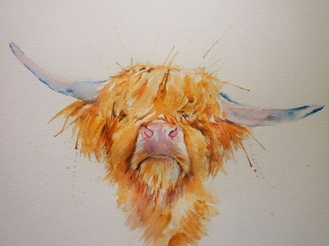 ARTFINDER: Hairy Highland! by Sue Green - A loosely painted, colourful watercolour of a hairy highland cow Highland Cow Tattoo, Loose Watercolour, Highland Coo, Colourful Watercolour, Highland Cow Painting, Highland Cow Art, Animal Watercolor, Cow Pictures, Highland Cows