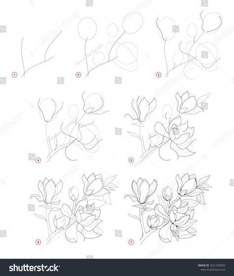 How to draw beautiful branch with magnolia flowers. Creation step by step pencil drawing. Educational page for artists. School textbook for developing artistic skills. Hand-drawn vector image. #Ad , #affiliate, #step#Creation#pencil#Educational Magnolia Branch, Magnolia Flowers, Hand Drawn Vector, Magnolia Flower, Pencil Drawing, Pencil Drawings, Magnolia, To Draw, Stock Vector