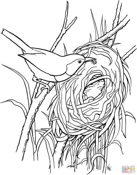 Wren-bird-build-a-nest-coloring-page.gif (1862×2382) Bird Building Nest, Inkleur Prente, Wren Bird, Bird Coloring, Christmas Stories, Shark Coloring Pages, Spring Coloring Pages, Bird Coloring Pages, Tinta China