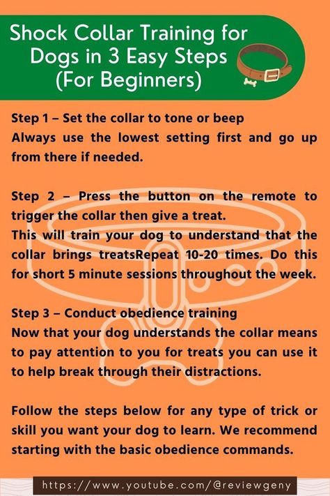 E Collar Training, Dog Training Hand Signals, Dog Hand Signals, Dog Shock Collar, Service Dog Training, Shock Collar, Dog Training Advice, Puppy Training Tips, Dog Training Techniques