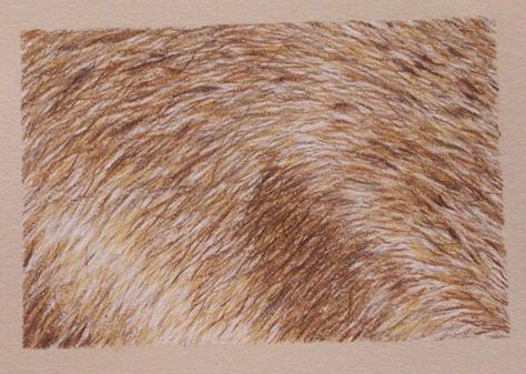 How To Draw Fur, Colored Pencil Tutorial, Pencil Drawing Tutorials, Coloring Tips, Pencil Painting, Colored Pencil Techniques, Animal Fur, Pencil Crayon, Drawing Supplies