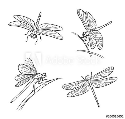 Stock Image: Set of different dragonflies in outlines - vector illustration How To Draw Dragonfly, Dragonfly Line Drawing, Dragon Fly Drawing Simple, Dragonfly Reference, Drawings Of Dragonflies, Dragonfly Line Art, Dragonflies Art, Hur Man Ritar Blommor, Dragonfly Drawing