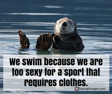 50 Fun and Motivational Swimming Quotes #sayingimages #motivational #swimming #quotes Swimming Quotes Funny, Swimming Motivational Quotes, Swimming Memes, Inspirational Sports Quotes, Water Quotes, Funny Beach, Swimming Quotes, Sport Quotes Motivational, Beach Humor