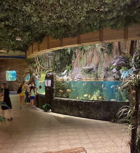 Planet Zoo Aquatic, Reptile House Zoos, Zoo Enclosure Design, Aesthetic Vet Pictures, Zoo Exhibit Design, Aquarium Exhibit, Planet Zoo Inspiration, Zoo Aesthetic, Zoo Exhibit