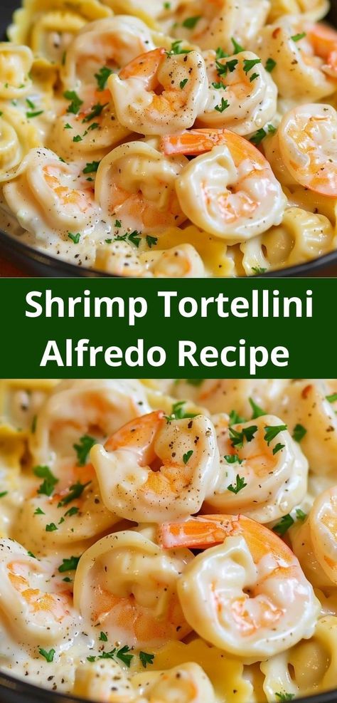 Need dinner recipes for family? Our Shrimp Tortellini Alfredo Recipe is a hit! This shrimp alfredo pasta is ideal for easy dinner ideas and offers a delicious shrimp dinner everyone will love. Shrimp Tortellini Alfredo, Shrimp Tortellini, Cheap Casserole Recipes, Alfredo Recipes, Shrimp Alfredo Recipe, Tortellini Alfredo, Creamy Shrimp, Shrimp Alfredo, Tortellini Recipes