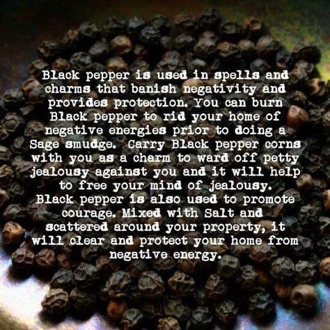 Black Pepper Magical Properties, Wild Witch, Magickal Herbs, Witch Herbs, Magic Herbs, Under Your Spell, Eclectic Witch, Wiccan Spell Book, Magical Herbs