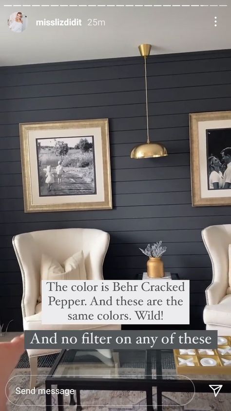 Behr Cracked Pepper Accent Wall, Cracked Pepper Behr Paint Accent Wall, Dark Accent Wall Colors, Cracked Pepper Behr, Grey Exterior House Colors, Dark Accent Walls, Office Paint Colors, Gray House Exterior, Craftsman Homes