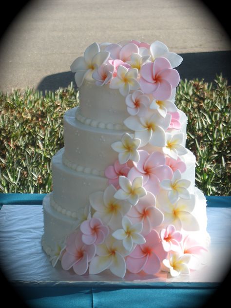 Frangipani Cake, Plumeria Wedding, Tropical Weddings, Beach Cake, Strawberry Cream Cakes, Cake Style, Flowers Cake, Plumeria Flowers, Floral Decorations