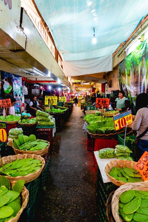 Rows of vendors selling fresh nopales for sale at a Mexico City market Mexico City Food, Living In Mexico City, Mexico City Travel, Living In Mexico, City Market, Mexican Street, Mexico Travel Guides, Hotel Stay, Mexico Vacation