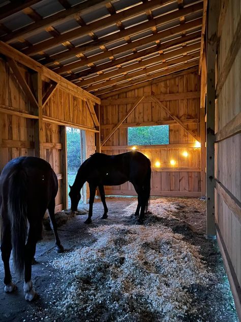 Backyard With Horses, Horses In Stables, Rustic Horse Stable, Horses In Backyard, Horse Stables Aesthetic, Cheap Horse Shelter, Horse Barn Aesthetic, Small Stable Ideas, Farm Barn Ideas