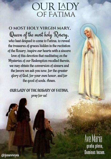 Mother Mary Prayer, Praying The Rosary Catholic, Rosary Prayers, Fatima Prayer, Blessed Mary, Novena Prayers, Spiritual Prayers, Mama Mary, Rosary Prayer