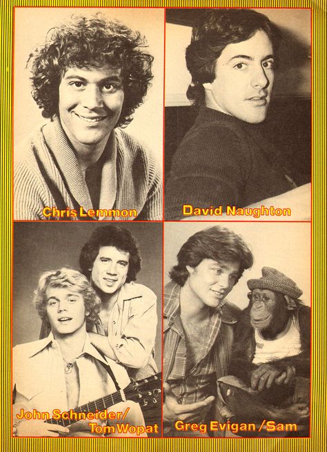 Tiger Beat - May, 1979 Chris Lemmon, David Naughton, John Schneider, Tom Wopat, Greg Evigan Greg Evigan, David Naughton, Tom Wopat, John Schneider, American Werewolf In London, Tiger Beat, Fact Families, Face Reference, Meow Meow