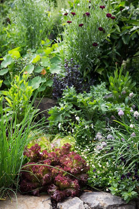 Edible Perennial Garden Ideas, Edible Landscape Design Ideas, Library Greenhouse, Edible Perennials, Wellness Photography, Homestead Design, Edible Gardens, Hillside Garden, Homestead Gardens