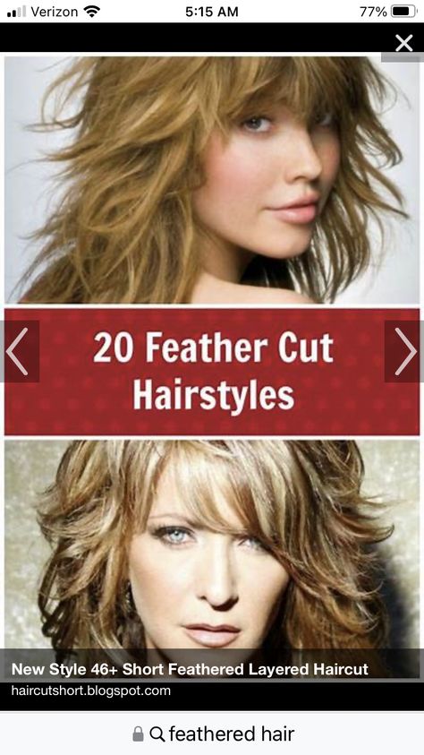 Feathered Hair Cut, Feather Cut, Feathered Bangs, Shaggy Short Hair, Shaggy Hair, Cut Hairstyles, Medium Short Hair, Haircuts For Medium Hair, Shag Haircut