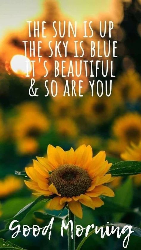 Quotes With Friends, Beautiful Day Quotes, Quotes To Start Your Day, Good Morning Hug, Positive Morning Quotes, Positive Morning, Happy Day Quotes, Morning Memes, Cute Good Morning Images